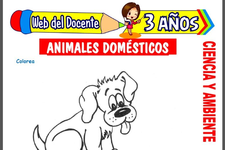 Animales Domésticos para Niños de 3 Años – Web del Docente