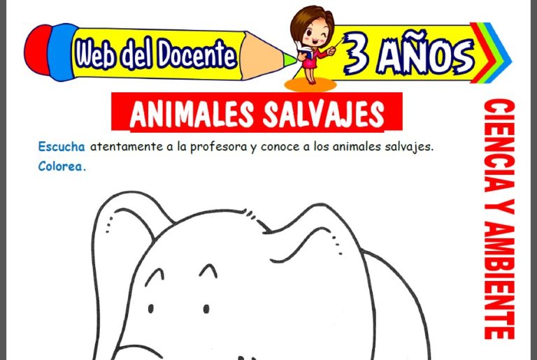 Animales Salvajes para Niños de 3 Años – Web del Docente