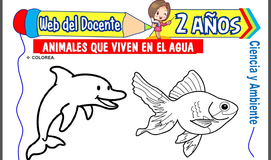 Animales que Viven en el Agua para Niños de 2 Años Animales que Viven en el Agua para Niños de 2 Años