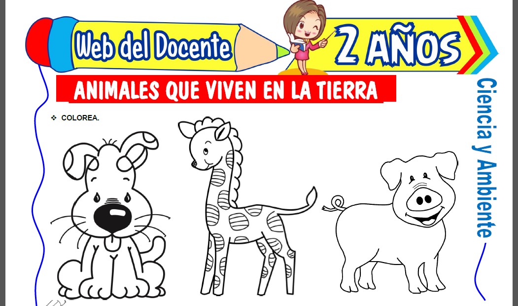 Animales que Viven en la Tierra para Niños de 2 Años Animales que Viven en la Tierra para Niños de 2 Años