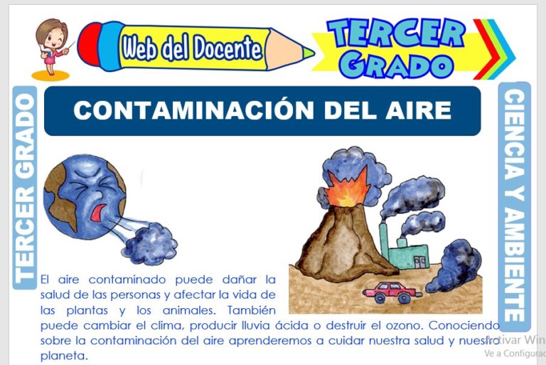 CIENCIA Y AMBIENTE – Tercer Grado de Primaria –– 34 FICHAS
