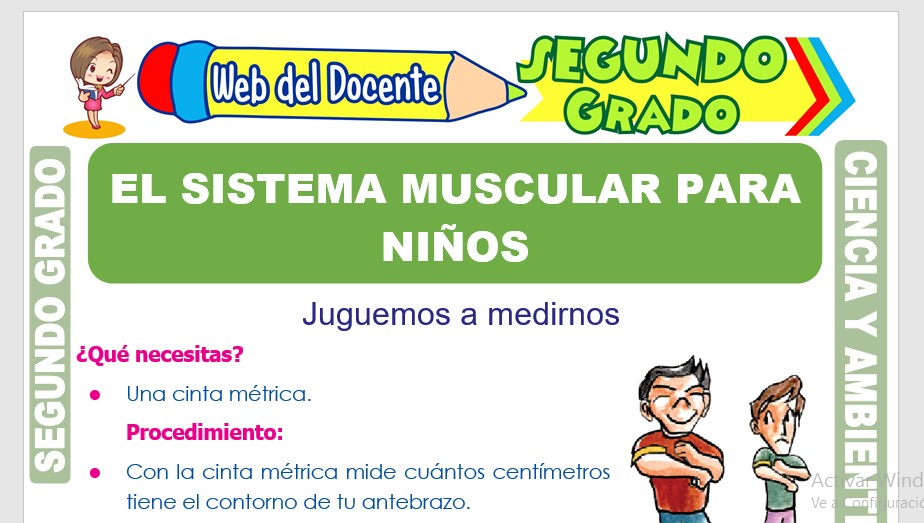  Ficha de El Sistema Muscular para Niños para Segundo Grado de Primaria