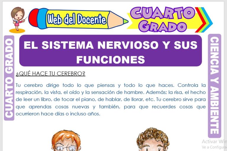 Libro De Ciencias Naturales 4 Grado Sistema Nervioso