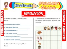 Evaluación de Ciencia y Ambiente para Primer Grado de Primaria