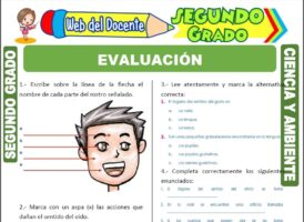 Evaluación de Ciencia y Ambiente para Segundo Grado de Primaria