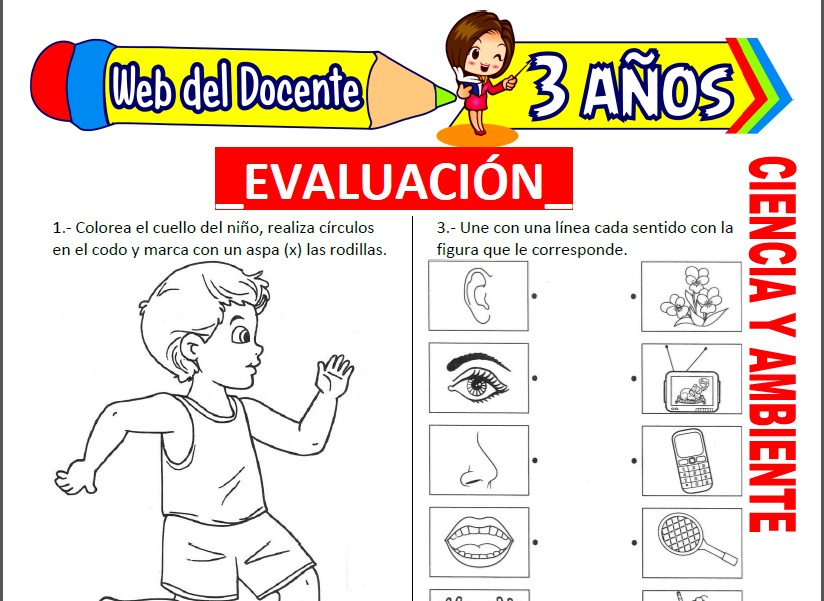 Evaluación de Ciencia y Ambiente para niños de 3 años