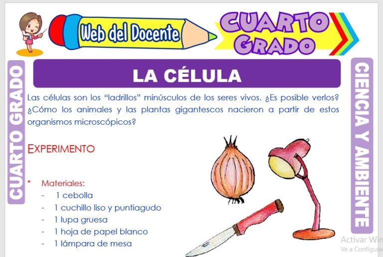 La Materia para Cuarto Grado de Primaria – Web del Docente