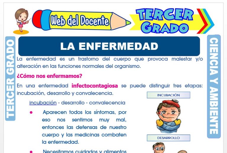El Aparato Circulatorio para Tercer Grado de Primaria – Web del Docente