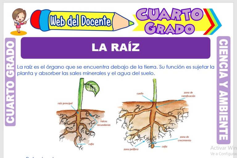 La Raíz para Cuarto Grado de Primaria – Web del Docente