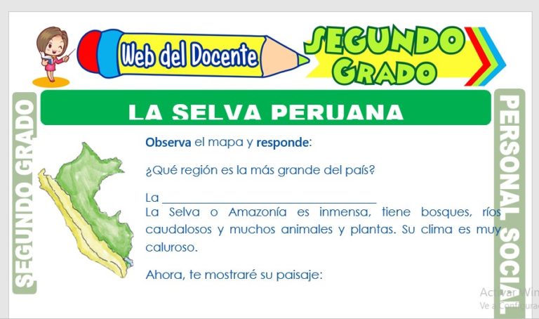 La Selva Peruana para Segundo Grado de Primaria – Web del Docente