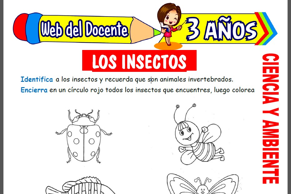 Los Insectos para Niños de 3 Años