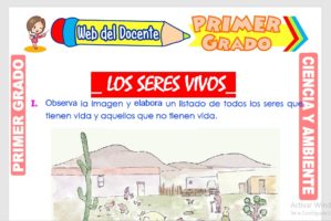 Ficha de Los Seres Vivos para Primer Grado de Primaria