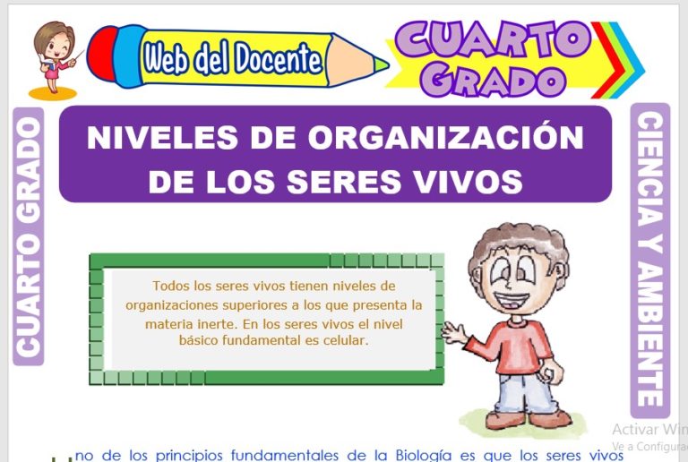 Niveles de Organización de los Seres Vivos para Cuarto Grado