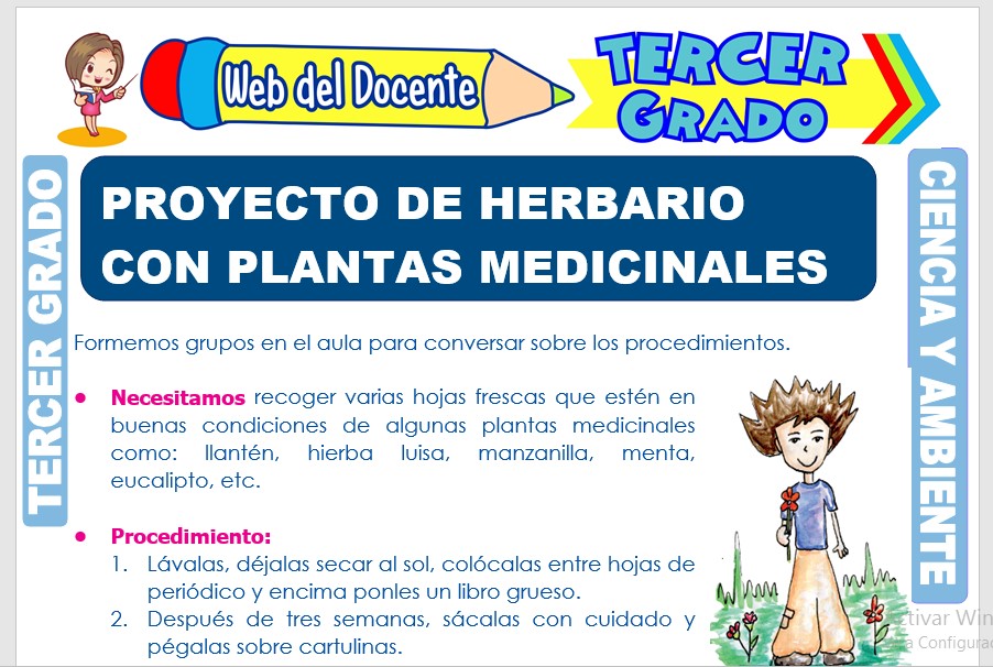 Ficha de Proyecto de Herbario con Plantas Medicinales para Tercer Grado de Primaria