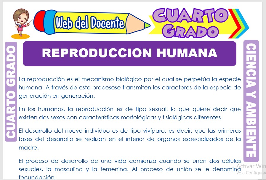 Ficha de Reproducción Humana para Cuarto Grado de Primaria